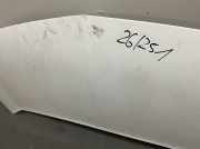 Motorhaube 651003220R Renault Kangoo dCi 105 FAP W Kangoo Kombi