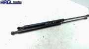 Gasdruckfeder/-dämpfer Hecktür 46827091 Fiat Panda 1.1 70C 2F2 169 Panda Kombi