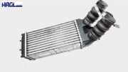 Ladeluftkühler 9645965180 Peugeot Partner 170 C HDi 75 Comfort 5, M59, 5H, 5N, GN, 5F, 5W, GW, G9, GR, Partner Kasten