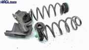 Hinterfeder SET Audi A5 2.0 TDI Sportback (clean die.) quat. DPF S tro. B8 Audi A5 Coupe