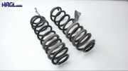 Hinterfeder Links Rechts SET Ford Transit Courier JN8 Transit Kasten
