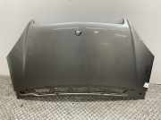 Motorhaube 1698800057 Mercedes-benz A 180 CDI Platinum 169 A-klasse Limousine