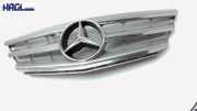 Kühlergrill 1698881660 Mercedes-benz B 180 CDI DPF Autotronic club up! 245 B-klasse Kombi