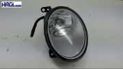 Nebelscheinwerfer Komplett Links 3D0941699B VW Phaeton 5.0 V10 TDI 4MOTION Automatik 3D Phaeton Limousine