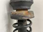 Federbein Vorne Links Renault Trafic 2.0 dCi 90 Combi L1H1 FL / JL Trafic Kombi