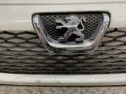 Kühlergrill komplett 7804R4 Peugeot Boxer HDi 333 L3 Trend 250/250L Boxer Pritsche