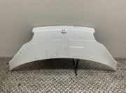 Motorhaube 4517510102CA7L Smart smart fortwo coupe 451 Smart Coupe