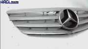 Kühlergrill 1698800783 Mercedes-benz B 180 CDI pure 245 B-klasse Kombi