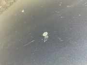 Heckdeckel 3AE827025 VW Passat 2.0 TSI design 36 Passat Limousine