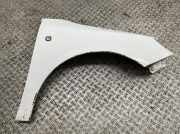 Kotflügel Rechts 5J0821022A Skoda Praktik 1.4 TDI Classic 5J Praktik Kasten