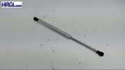 Gasdruckfeder Vorne VW Phaeton 5.0 V10 TDI 4MOTION Automatik 3D Phaeton Limousine