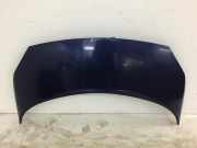 Motorhaube Renault Scenic 2.0 16V Ambiente JM Scenic Kombi