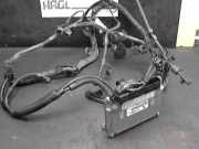 Steuergerät Einspritzung +kabelbaum 03D906,33H VW Fox 1.2 Classic 5 Z Fox Limousine