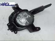 Nebelscheinwerfer Komplett L Renault Koleos dCi 150 FAP 4x4 Cool Profi Y Koleos Geschlossen