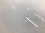 TÜR Hinten Links VW Polo 1.9 SDI 9 N Polo Limousine