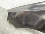 Kotflügel Links 6Q0821105E VW Polo 1.2 9 N Polo Limousine