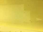 TÜR Hinten Rechts Kia Picanto Ba/sa Facelift (2008>2011) VIN KNABA24429T707999 Picanto Ba/sa Facelift (2008>2011) Picanto Limousine