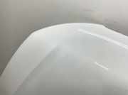 Motorhaube 8T0823029H Audi A5 2.0 Tfsi quattro S tronic B8 Audi A5 Coupe