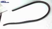 Dichtung innen (tür vorn) Links 51767130007 Mini (bmw) Mini Cooper Cabrio R50 / R53 Mini II Cabrio