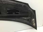 Motorhaube Renault Modus 1.6 16V ESP P Modus Kombi