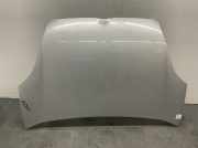 Motorhaube 52101773 Fiat Doblo Cargo DPF 263 Doblo Kasten