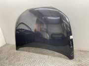 Motorhaube 6J0823031E Seat Ibiza SC 1.4 TDI PD 6J Ibiza Limousine