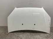 Motorhaube 46743226 Fiat Doblo Cargo JTD 223.117.2 223 /223 L Doblo Kasten