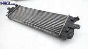 Ladeluftkühler 8200411160 Renault Trafic 2.0 dCi 90 FAP L1H1 FL / JL Trafic Kasten