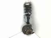 Federbein Vorne Links 824903002051 BMW 118d DPF Aut. VIN KNABA24429T707999 E81,E82,E8 1er Limousine