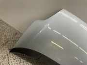 Motorhaube 51701140 Fiat Grande Punto 1.4 8V 199 Grande Punto Limousine