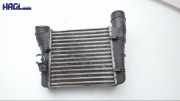 Ladeluftkühler 8E0145805S Audi A4 Avant 1.9 TDI Classic 8E/8H/QB6 Audi A4 Kombi