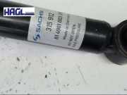 Stossdämpfer L 315912 VW Golf 1.6 TDI Bluemotion Trendline Au/auv Golf Limousine