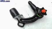 Anhängerkupplung abnehmbar Westfalia 335468 Toyota RAV 4 2.5 4x4 Hybrid XA3(a) RAV 4 Geschlossen