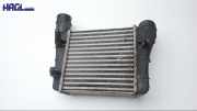Ladeluftkühler 8E0145805S Audi A4 Avant 1.9 TDI Classic 8E/8H/QB6 Audi A4 Kombi