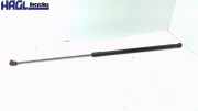 Gasdruckfeder Rechts 5K0823359D VW Golf 1.2 TSI 5K Golf Limousine