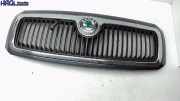 Kühlergrill 6Y0853668B Skoda Fabia 1.2 HTP 6Y Fabia Limousine