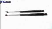 Gasdruckfeder Links UND Rechts 1699800964 Mercedes-benz B 200 CDI DPF Autotronic passion dpf 245 B-klasse Kombi