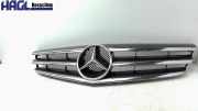 Kühlergrill 20388015839776 Mercedes-benz CLC 200 Kompressor 203 C-klasse Coupe