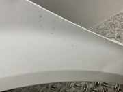 Kotflügel Links 663111C650 Hyundai Getz 1.1 Classic TB Getz Limousine