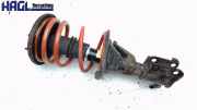 Federbein Links 51602S6AG71 Honda Civic 1.6i Platinum EP1,EP2,EP3,EP4,EU6,EU7,EU8,EU9,EV1 Civic Limousine