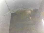 Motorhaube VW Passat 2.0 TSI Fresh Plus 36 Passat Limousine