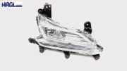 Nebelscheinwerfer Links 922012W520 Hyundai Santa Fe 2.4 GDI 2WD Trend DM Santa Fe Geschlossen