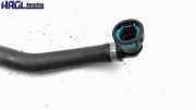 Kühlerschlauch unten seitlich CM5G8B451GA Ford Fiesta 1.0 Ecoboost S&S JHH Fiesta Limousine