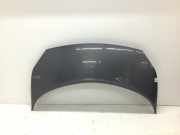 Motorhaube Renault Grand Scenic 1.9 dCi FAP Aut. JM Scenic Kombi