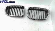 Kühlergrill seitlich Links + Rechts 7005837 BMW 525d touring E39 5er Kombi