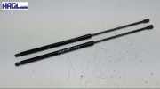 Gasdruckfeder Hinten Beidseitig 2K0827550 VW Caddy 1.9 TDI Ambiente 2K/ 2KN Caddy Kombi