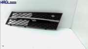 Luftgitter Stossfänger Links BMW 520d Touring Aut. F10 / F11 5er Kombi