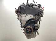 Motor Skoda Octavia Combi 1.6 TDI DPF Champion 1Z Octavia Kombi