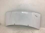 Motorhaube Fiat Scudo 16 V 222.1H5.1 220/220L/222/222L Scudo Kombi