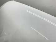 Motorhaube 8T0823029H Audi A5 2.0 TDI Sportback (clean die.) quat. DPF S tro. B8 Audi A5 Coupe